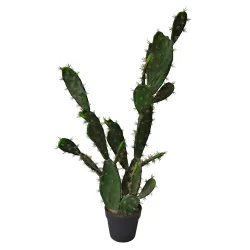 Cactus con jarrón cm 113