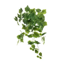 Vigne Tombante Verte cm 60