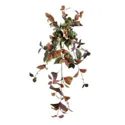 Chute Tradescantia cm 90