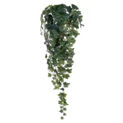 Murgröna med 244 Kaskadformade Blad cm. 96