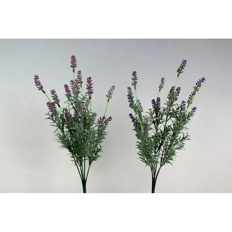 Lavanda Bush h 40 cm