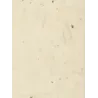 Reel Rice Paper Mt. 1x10 natural