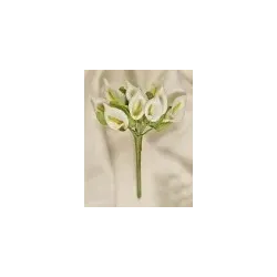 144 Calle Medie i Pick | ChartaRè