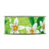 Nastro Flower Spring Vari Colori e Misure