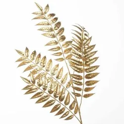 Oude gouden acaciatak cm. 100