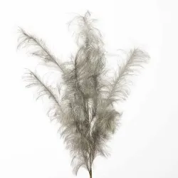 Rama de Pampas cm. 140 Varios Colores champ