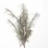 Ramo Pampas Cm. 140 Vari Colori