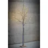 Champagne Tree with LED Various Heights | ChartaRè