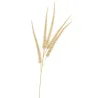 Gold Foxtail 5 Sprigs Cm.86