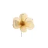 Pick Magnolia 6 Colori