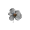 Pick Magnolia 6 Colori