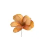 Pick Magnolia 6 Colori
