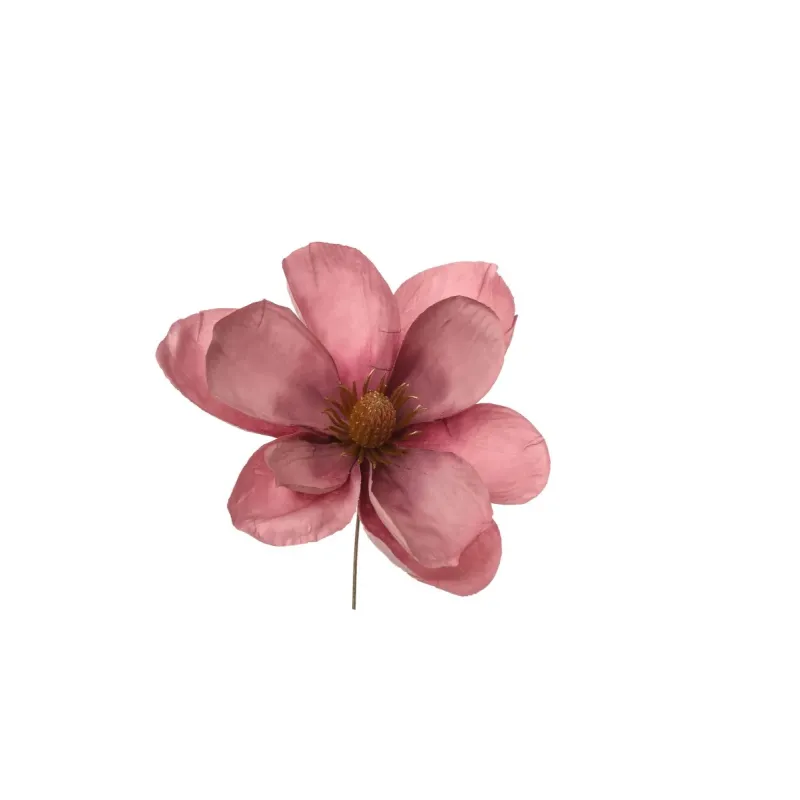Escolha Magnólia 6 Cores Rosa