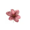Välj Magnolia 6 Rosa Färger