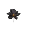 Pick Magnolia 6 Colori