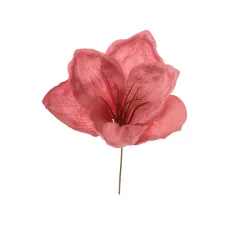 Elige Amarillys 5 Colores