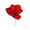 Pick Amarillys 5 Colori rosso