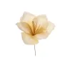Pick Amarillys 5 Colori