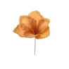 Pick Amarillys 5 Colori