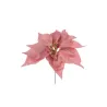 Choisissez Poinsettia 6 couleurs