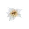 Pick Poinsettia 6 Colori