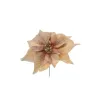 Pick Poinsettia 6 Colori