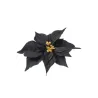 Pick Poinsettia 6 Colori