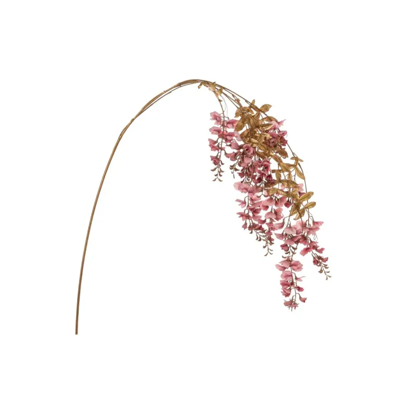 Arany wisteria lőni különböző rózsaszín színekben