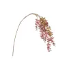 Gold wisteria shoot in various pink colors