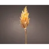 Pampa con MicroLed h 70 Cm caldo