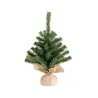 Green Imperial sapling in two sizes