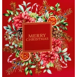 Panettone Box και βοτανικό μπουκάλι, ιδανικό για τη συσκευασία και την παρουσίαση τεχνίτη και ζαχαροπλαστικής panettone