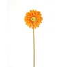 Gerbera Single cm.60 en 4 Colores, ideal para decoraciones y herrajes