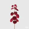 Cotinus Rosso con Stelo Rame cm. 78