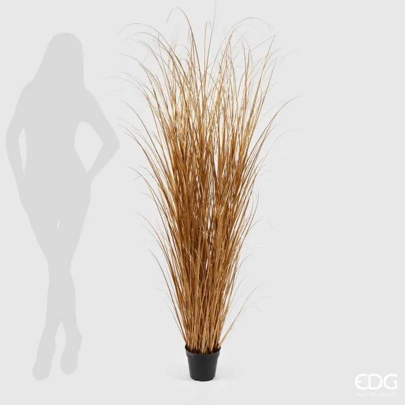 Festuca Gold mit Vase h.180 EDG | ChartaRè
