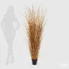 Festuca Oro con Jarrón h.180 EDG | ChartaRè