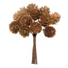 Mazzolino 12 Pigne Natural