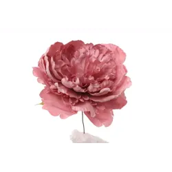 Pick Peony cm 18 en dos colores
