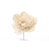 Pick Peonia cm 18 crema