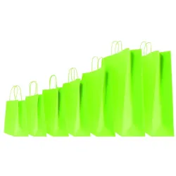 Gekleurde papiershopper met koordgreep - 25 stukjes