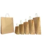 Colored Paper Shopper with Lanyard Handle - 25 pieces