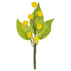 12 Pick Gele Mimosa met Groene Bladeren cm.16,5