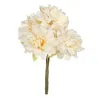 12 Pick Ivory Hydrangea cm. 16x11