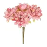12 Pick Ortensia Rosa Antico cm. 16x11
