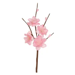 12 Pluk Roze Perzik Bloesems cm. 19