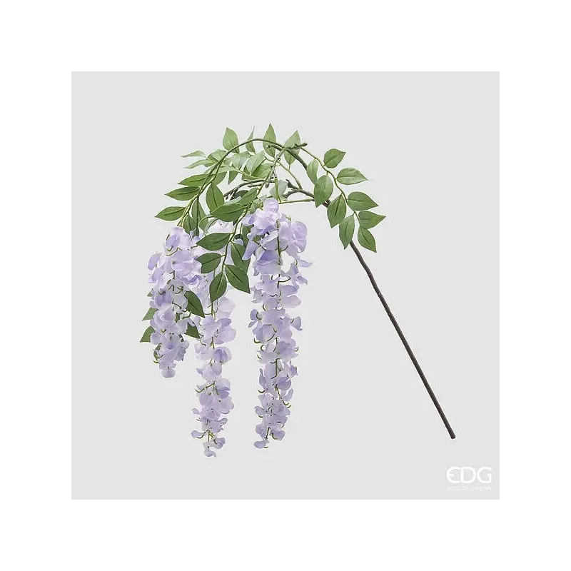 Πτώση Wisteria Branch EDG λεβάντα medio