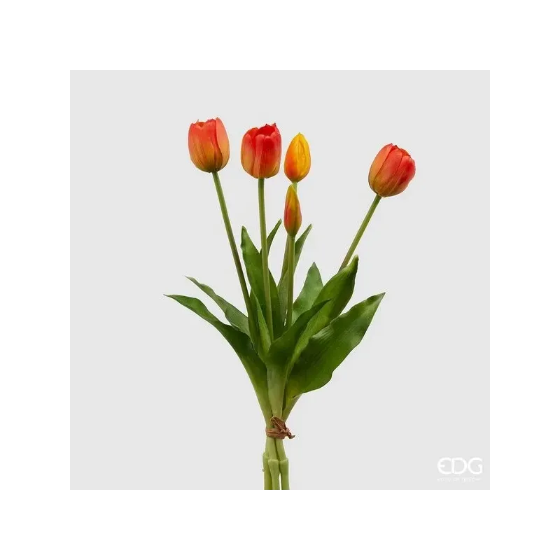 5 Tulipanes en manojo EDG cm. 40 naranja