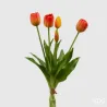 5 Tulpen in EDG Bos cm. 40 oranje