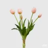 Boeket van vijf EDG Tulpen cm. 40 in verschillende kleuren, ideaal voor decoraties, composities en fittingen