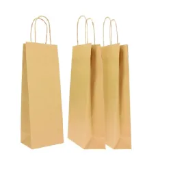 20 gekleurde papieren fles boodschappentassen met koordhandvat, perfect voor flessen in wijnwinkels en evenementen